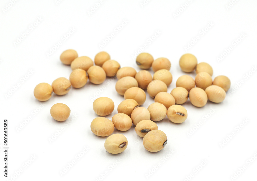 soybean seeds isolated on white background soybean seeds isolated on white background