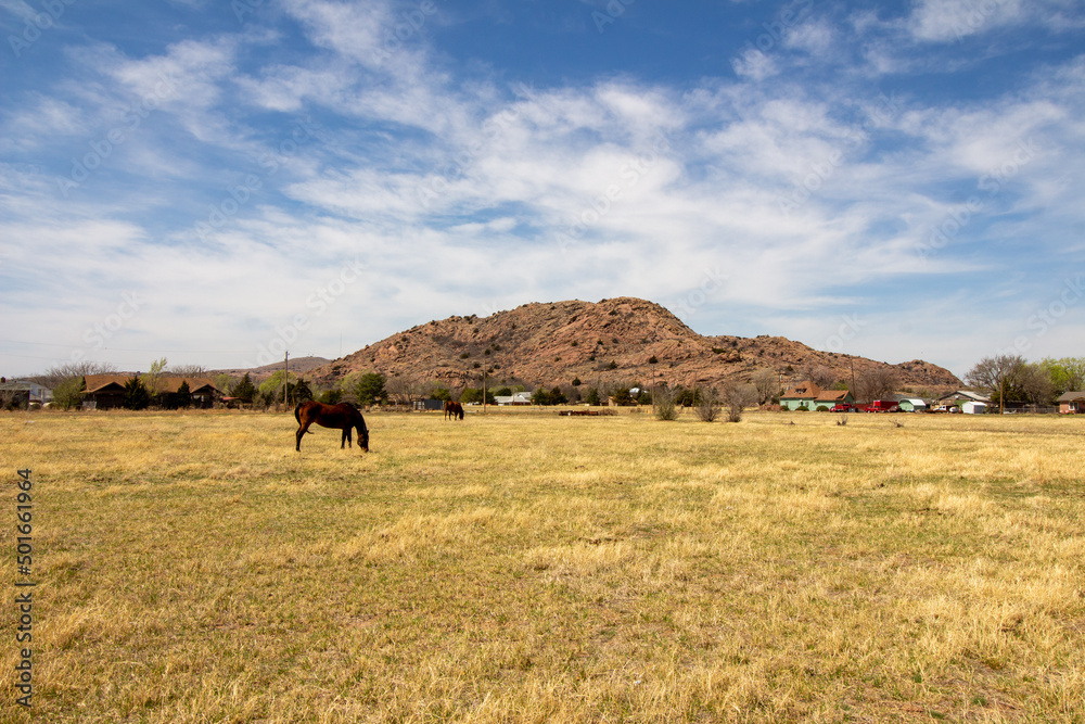 Oklahoma Landscape