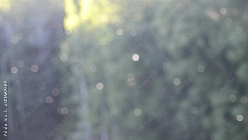 Pollen blowing slowly in the wind natural bokeh background