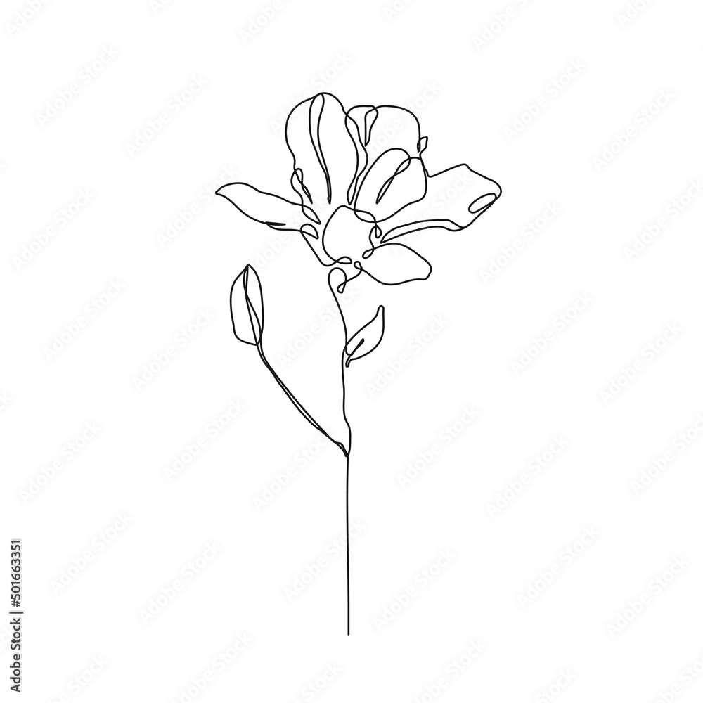 Flower Line Drawing. Botanical Art of Flower One Line Drawing for
