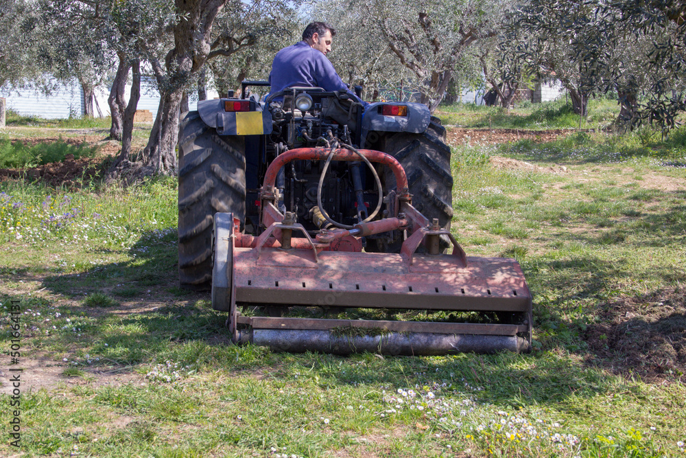 Obraz premium Man on a tractor in a field cutting the grass with a flail mower. You work in the countryside