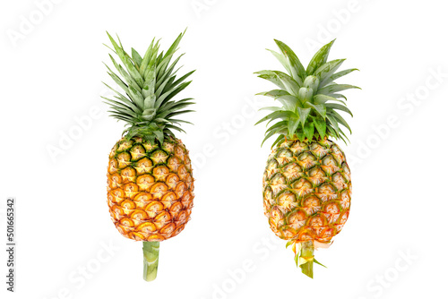 Pineapple isolated on white background with clipping path