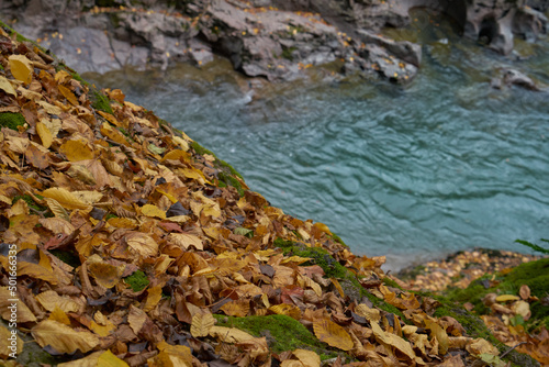 Pure mountain river. © PhotoBetulo