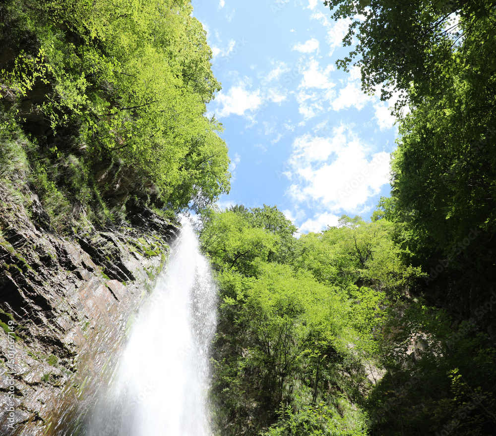 Obraz premium water spring falling from above in the lush forest