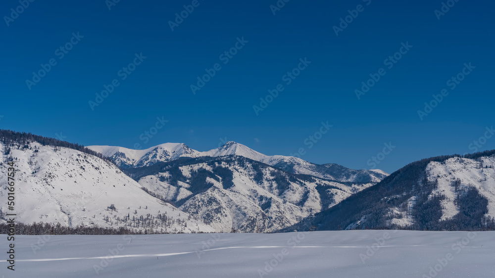 Pure white snow covers the valley. A lonely path is trampled through snowdrifts. A picturesque mountain range against a clear blue sky. Altai Pure white snow covers the valley. A lonely path is trampled through snowdrifts. A picturesque mountain range against a clear blue sky. Altai