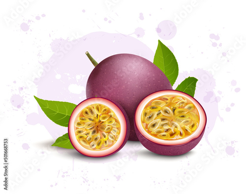 Passion fruit vector illustration with half piece of passion fruit isolated on white background