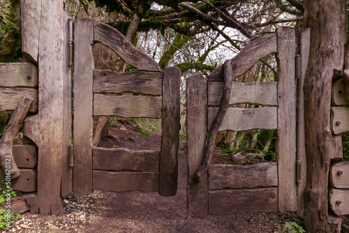 An old wooden gate in the forest path. Mystical background.