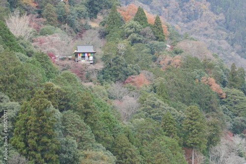 嵐山の亀山公園から見た千光寺 © 金田　哲郎