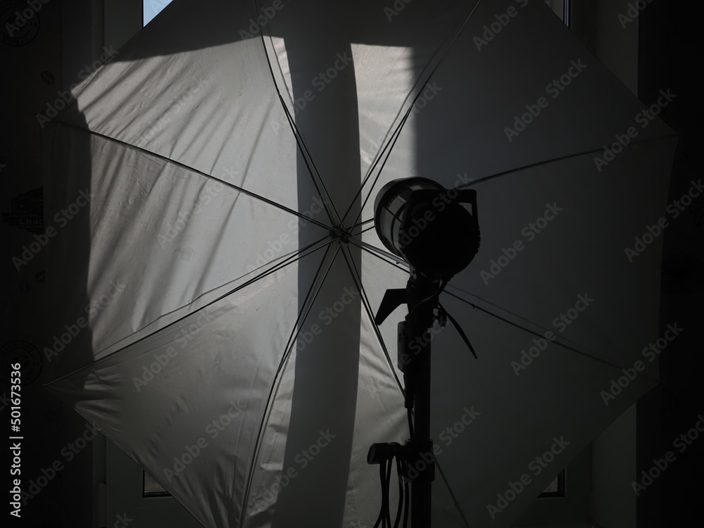 studio flash with diffuser umbrella Stock Photo | Adobe Stock