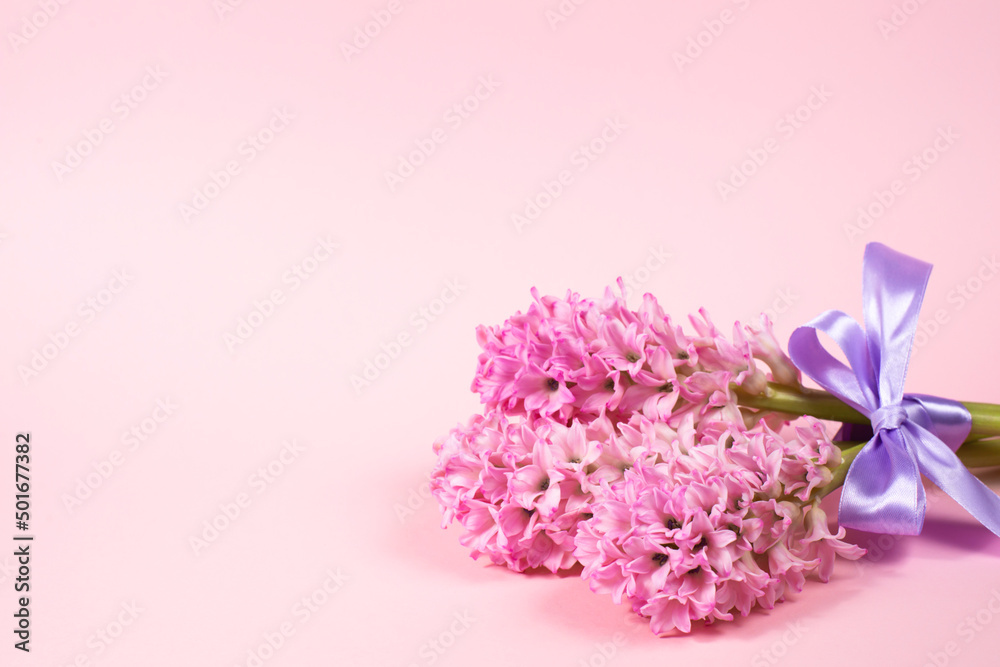 Fototapeta premium Purple geocinths on a yellow background with free space
