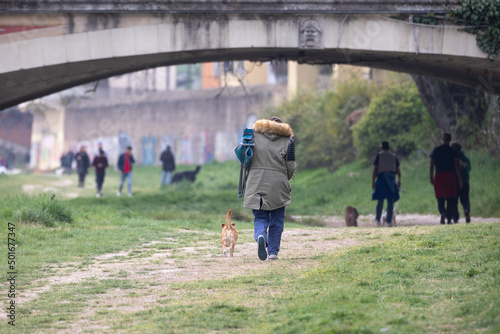 Man Walking with his Small Dogs and a Support Stick on a Country Road passing under a Masonry Bridge