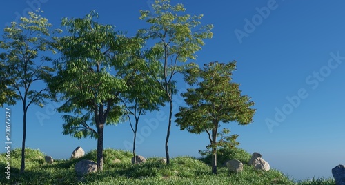 Green trees forest nature scene 3D rendering landscape wallpaper backgrounds