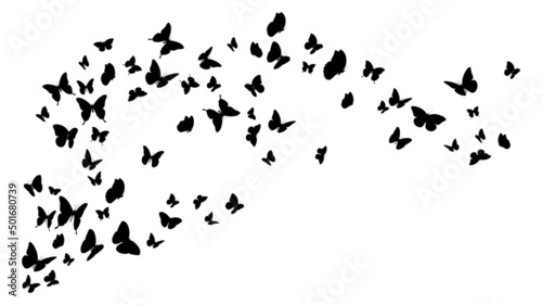 Flying black silhouettes of butterflies.Vector design element 
