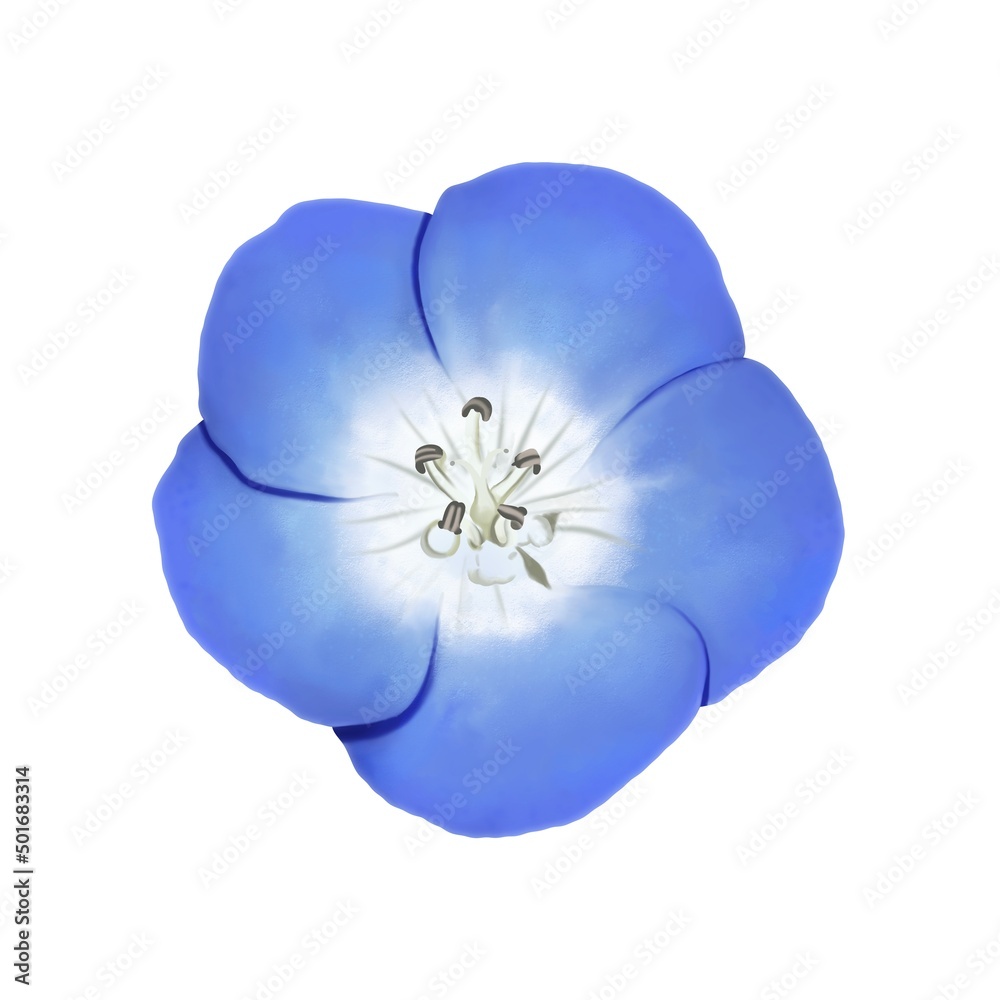 水彩風 鮮やかな青色のネモフィラの花 線画なし Stock Illustration Adobe Stock