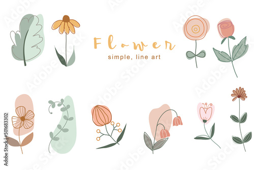 set of flowers and leaves. simple line art and boho shape. new set illustration for good moment. 