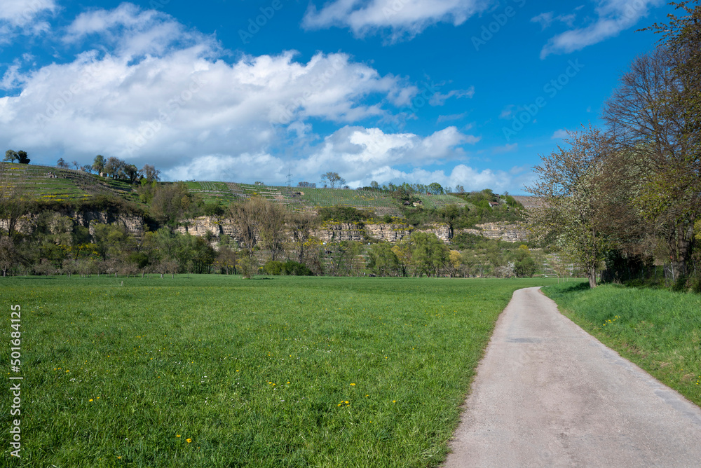 Nature reserve Felsengarten at the Enz loop nearby Muhlhausen on the Enz