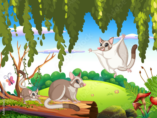 Scene with sugar gliders in forest