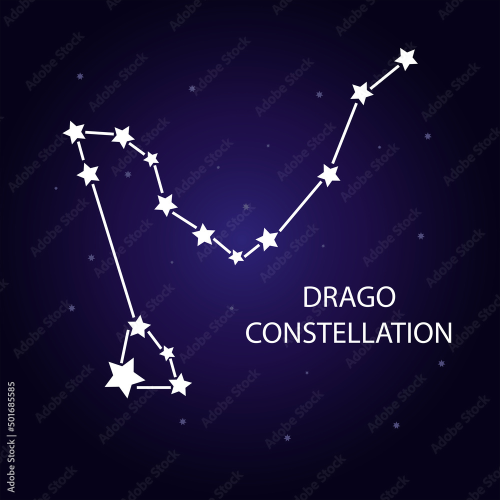 The constellation Dragon with bright stars. Vector illustration.