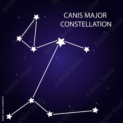 The constellation is a Canis Major with bright stars.