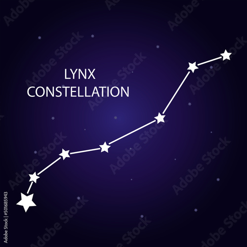 The constellation of Lynx with bright stars. Vector illustration.