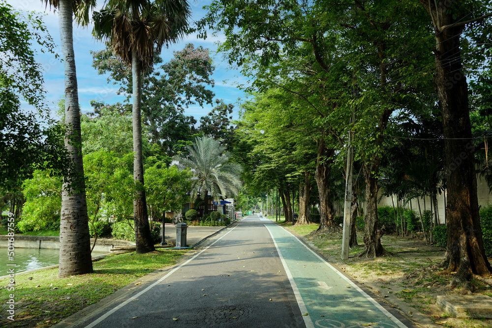 Walkways and bicycle paths in the park. bike path.	