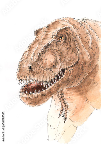 Tarbosaurus portrait. Ink and watercolor on paper. © Pawel Burgiel