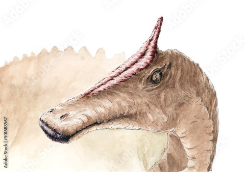 Saurolophus portrait. Pencil and watercolor on paper.