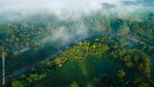 Aerial view, Village and forest covered in fog in the morning