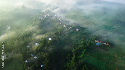 Aerial view, Village and forest covered in fog in the morning
