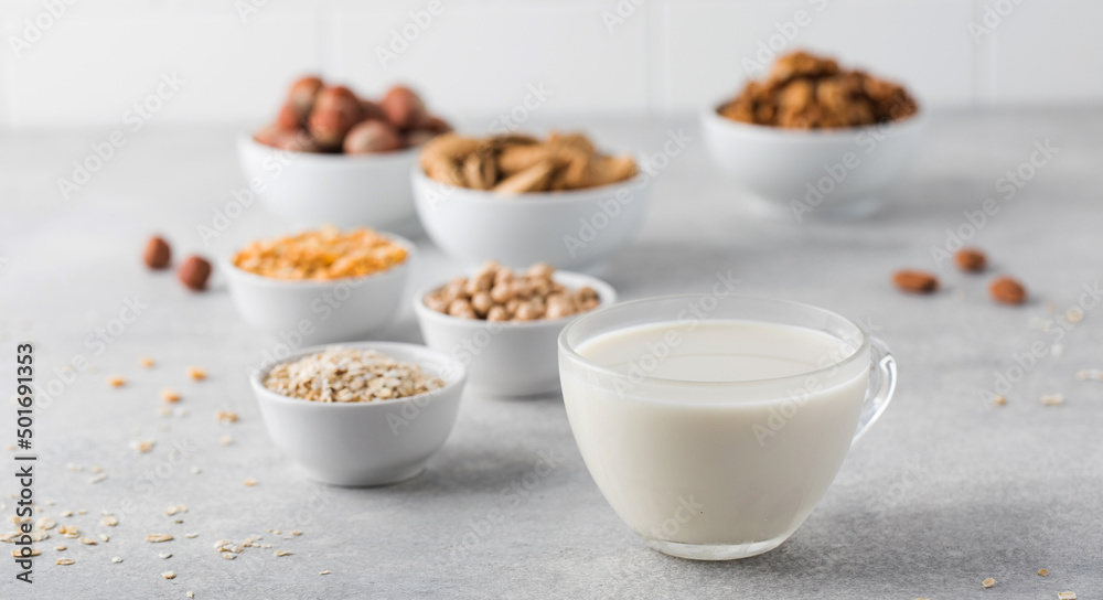 Fototapeta premium Vegetable milk in a mug on the background of bowls with nuts, oatmeal and legumes. An alternative to dairy products.