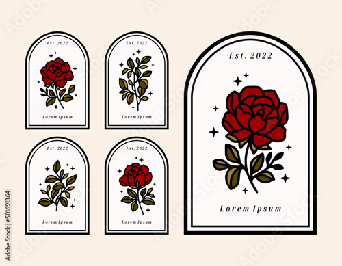 Set of hand drawn vintage botanical rose flower, leaf branch elements and linear arch frame for feminine logo and beauty brand	