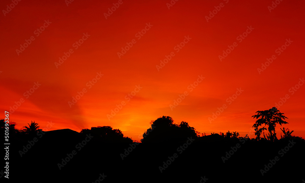 sunset, orange sky bush tree Silhouette black background nature