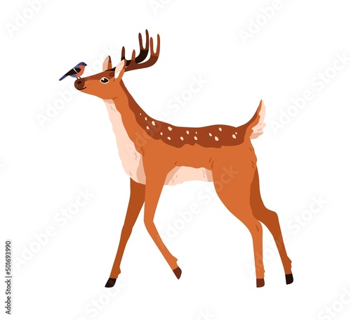 Spotted deer animal walking, playing with bird friend. Cute bambi reindeer with horns standing, side view. Graceful horny fawn profile. Flat vector illustration isolated on white background photo