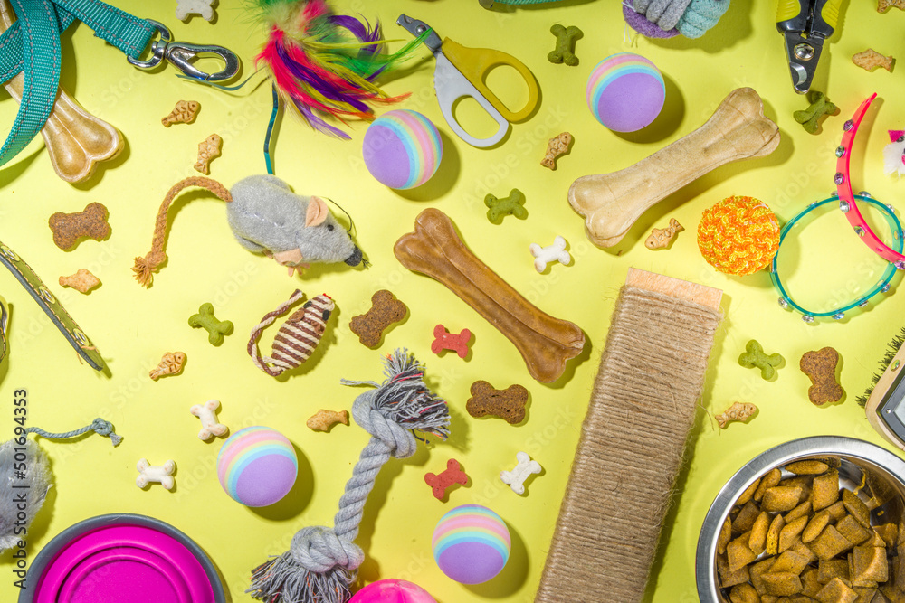 Pet food and accessories Pet food and accessories
