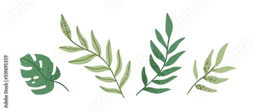 Fotografia, Obraz Green leaf decorations set