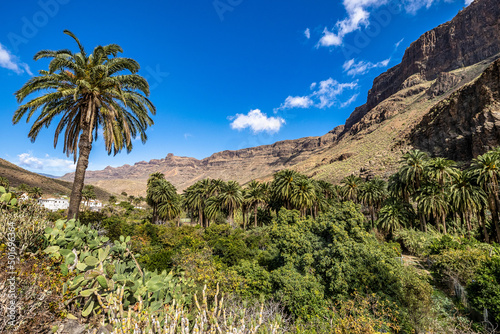 Rocky landscape of the Palm valley at Arteara in Gran Canaria island, Spain.