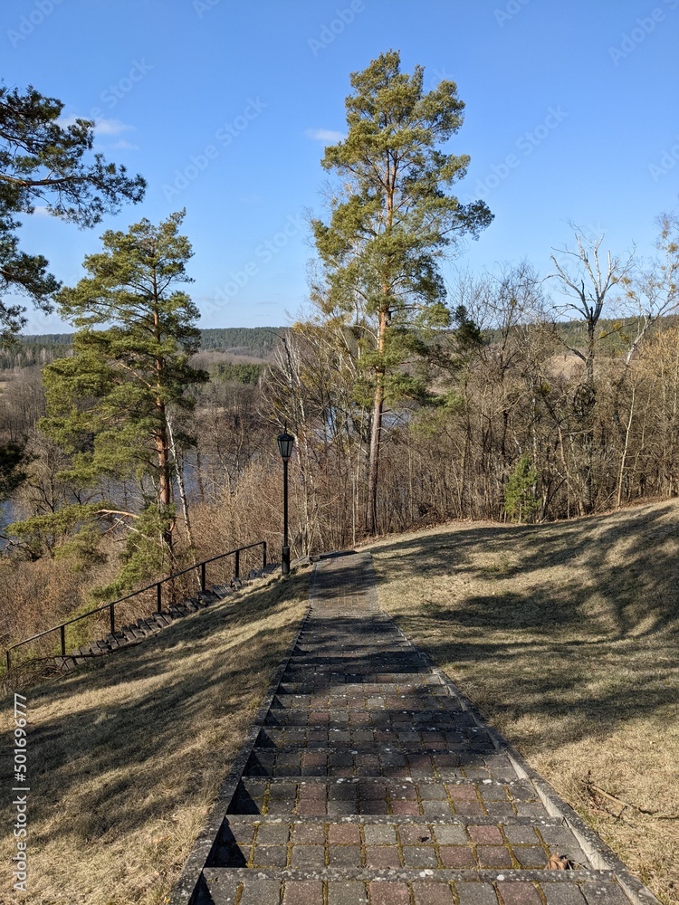 nature wakes up in spring slope with trees and river bend