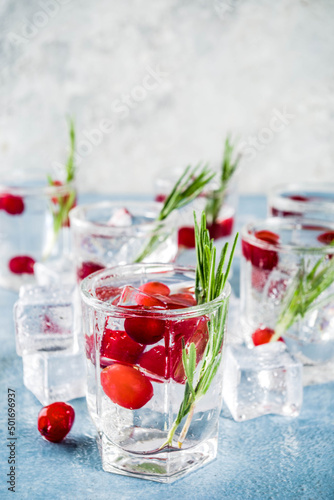 Winter cocktail with cranberry and rosemary