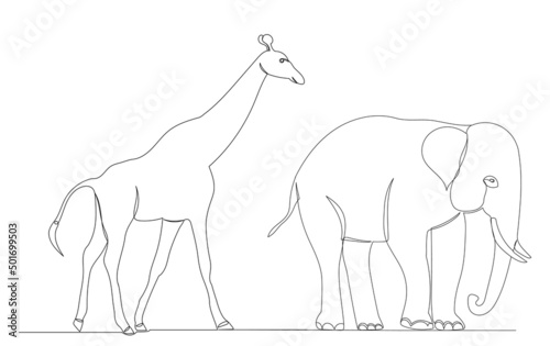 elephant and giraffe drawing by one continuous line, sketch vector