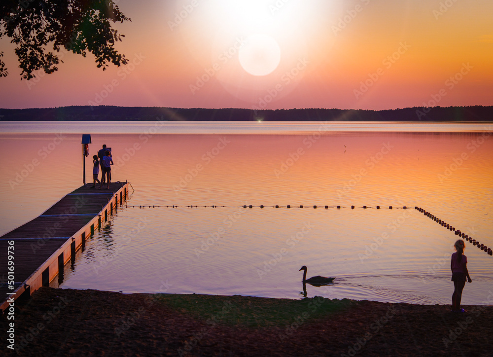 sunset on the lake, łabądz i dziewczynka na plaży nad jeziorem. - obrazy, fototapety, plakaty 