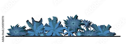 Night tropic plant landscape top view. Wild palm trees and bushes. Dark twilight jungle rainforest. Isolated on white background. Illustration forest in flat design. Vector