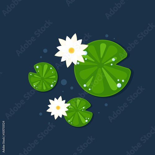 Lily pad and Lotus vector. wallpaper. free space for text. background. poster. lotus flower.