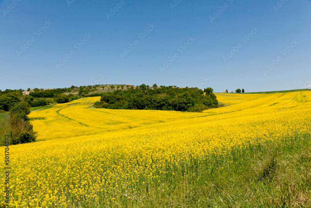 Umbria, panorama primaverile