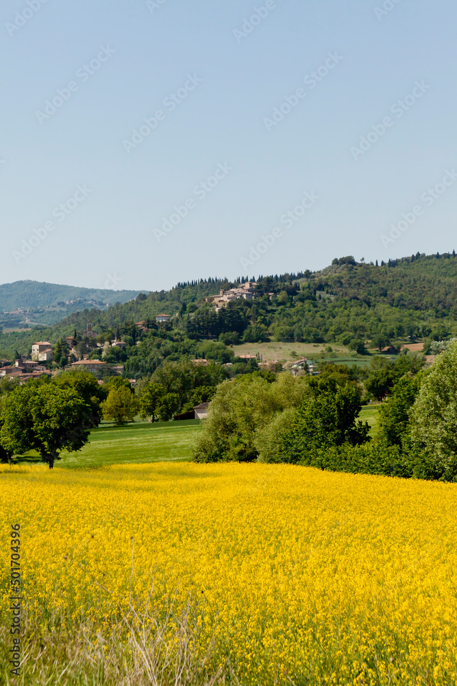 Umbria, panorama primaverile