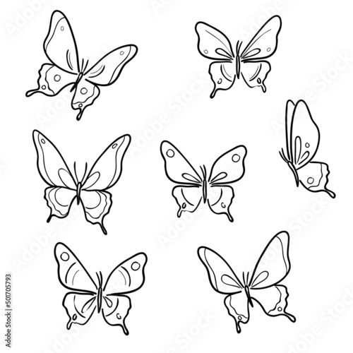 Fototapeta Naklejka Na Ścianę i Meble -  Line art vector butterfly illustrations.