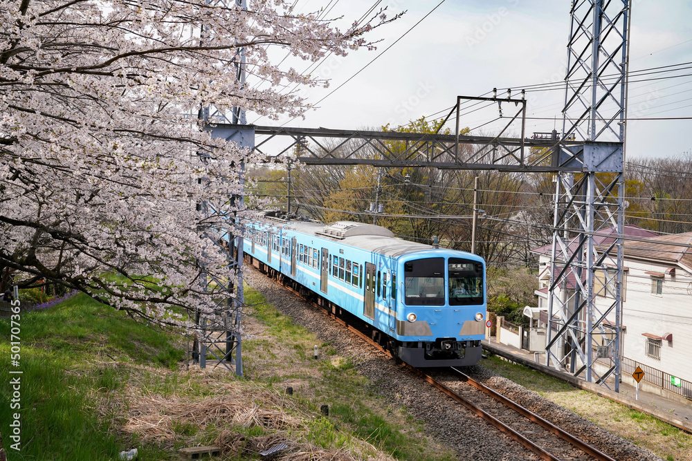 Naklejka premium 西武多摩川線