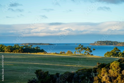 Farm looking out over the ocean  an organic grass farm and ranch  by the coast  beach and ocean. in Tasmania  Australia.