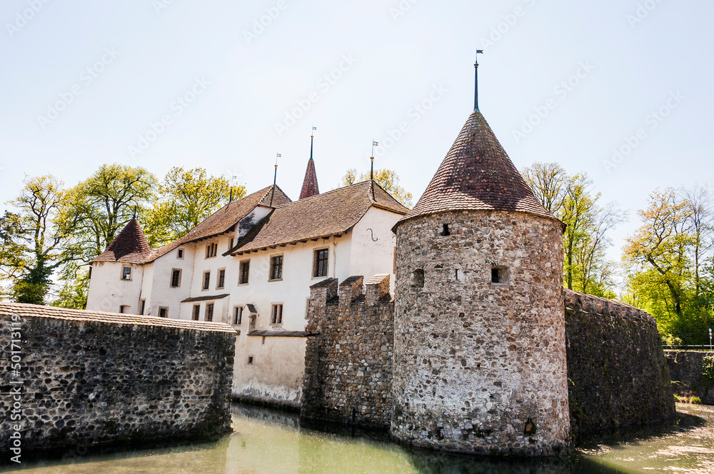 Fototapeta premium Seengen, Schloss Hallwyl, Wasserschloss, Burg, Turm, Ringmauer, Hallwilersee, See, Spazierweg, Insel, Aabach, Aargau, Frühling, Schweiz