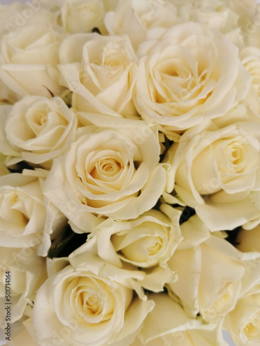 Isolated close-up of a huge bouquet of white roses.