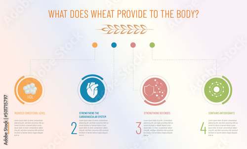 What benefits does wheat provide to our body? illustration with 4 benefits such as reducing cholesterol,improving vascular health,reinforcing defenses,delaying aging and its icons.
